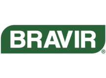 Bravir